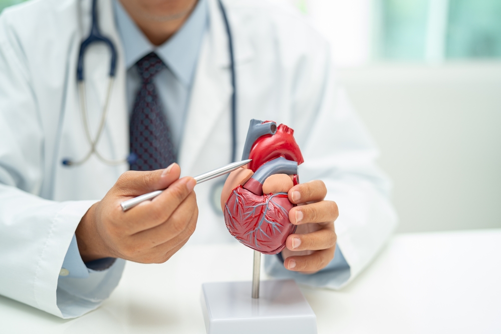 Key Heart Disease Warning Signs Every Patient Should Know